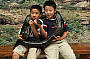 Australia ZOO & Sunshine Coast Hinterland Tour from Brisbane