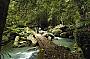 Australia ZOO, Montville and Kondalilla National Park 