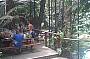 CAPE TRIBULATION DAY TOUR
