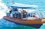 Darwin Crocodiles, Reptiles & Sights Tour with Indigenous Sunset Dreaming Cruise - DDTSC