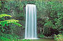 Millaa Millaa Falls