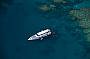 Full Day - Reef Cruise + Heli