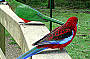 Grants Reserve Bird Feeding