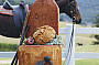 Lillydale Farm Day Tour