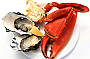 Fresh Crab and Oyster Tastings