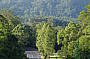 Blue Mountains Guided Walking Tour