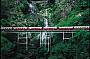 Kuranda Scenic Railway and Skyrail Experience return to Kuranda
