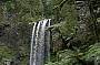 The Great Otway National Park