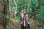Balloon 30min & Half Day Horse Riding