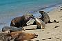 Rottnest Island Eco Sail Adventure
