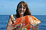 vicki's Red Emperor