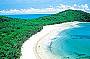 Cape Tribulation