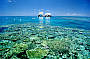 Great Barrier Reef Adventures
