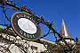 Historical and picturesque winery, Richmond Grove