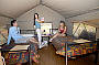 Safari in Style Tent