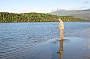 Fishing at New River Lagoon