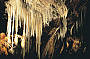 Jenolan Caves Tour