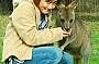 Hand Feed Kangaroos