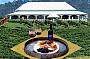 Albert river Wines