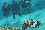 2 Day PADI Advanced Open Water Course