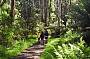 1 day Wilsons Promontory Day Tour