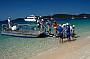 Whitehaven Beach Half Day Cruise