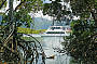 Boat through the mangroves 