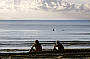 2 Day Moreton Island Camping tour