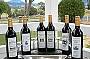 Award winning wines
