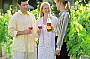 1 Day Mt Tamborine Rainforest / Australiana / Winery Tour 