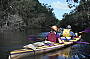 Our Expedition Sea Kayaks are big enough to hold all your camping gear!