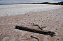 Lake Eyre - The largest salt lake in the world