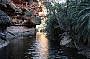 Kings Canyon- Garden of Eden