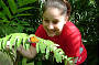 Australian Butterfly Sanctuary