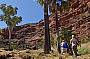 A walk in Palm Valley