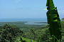 Daintree River mouth; Alexandra Range Lookout