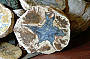 Go ThunderEgg Fossicking