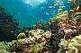 Tusa Dive 4 day Learn to Dive Course