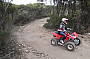 All Terrain Quad Adventure - Rider