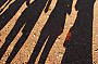 BOOMERANG (Adelaide to Alice Springs)