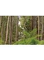 5 DAY 4WD/RV Victoria’s Great Divide Discovery Package