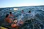 Rottnest Twilight Cruise