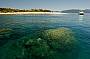 Frankland Islands Cruises Full Day Tour