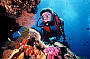 Try scuba diving - for beginner or certified