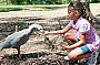 Cleland Wildlife Park