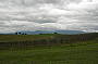 The vines of the Yarra Valley with the mountains as a backdrop