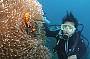 4 Day PADI Open Water Course/ Day Reef trips