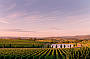 Stunning Yarra Valley 