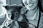 Behind the scenes Currumbin Wildlife Hospital
