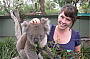 Meet 'Gumba the koala'